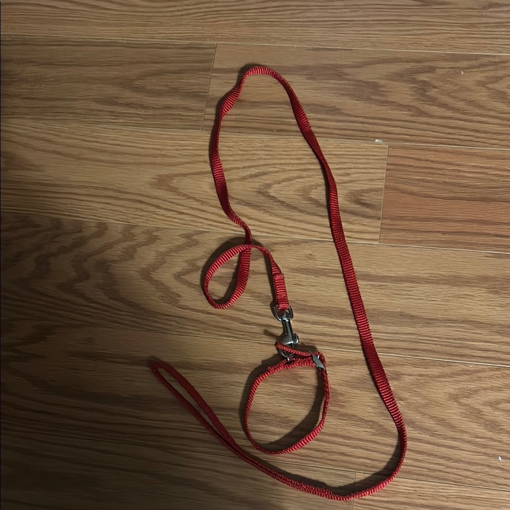 Red Dog Leash and collar for cat or small dog